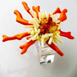 Lot de ronds de serviette Alga Orange et jaune